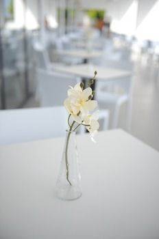 Saint George Hotel 라도스 외부 사진